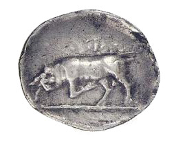 greek coins - fauna and flora ancient coins